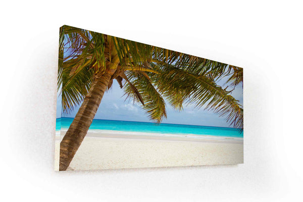 Paysage de mer avec palmier