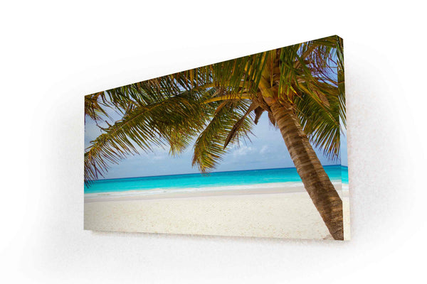 Paysage de mer avec palmier