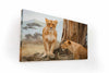 Deux lionnes