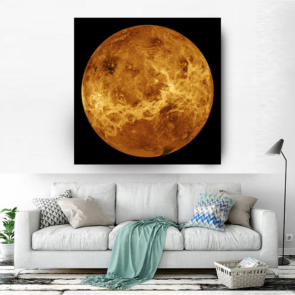 The Venus Globe
