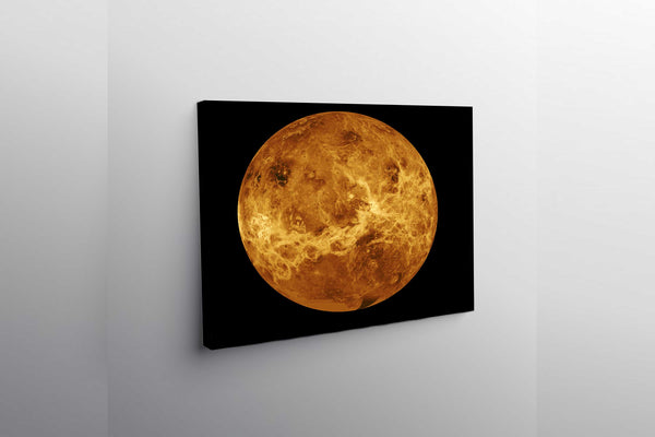 The Venus Globe